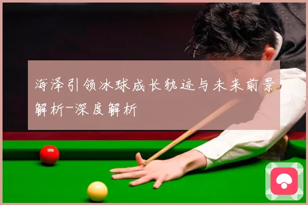 海泽引领冰球成长轨迹与未来前景解析-深度解析