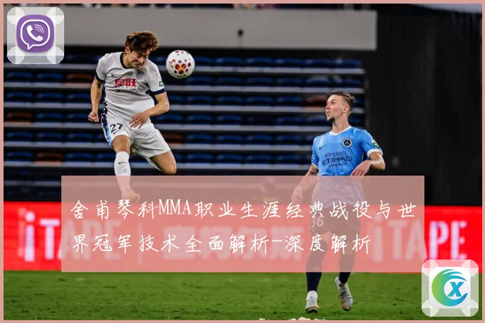 舍甫琴科MMA职业生涯经典战役与世界冠军技术全面解析-深度解析
