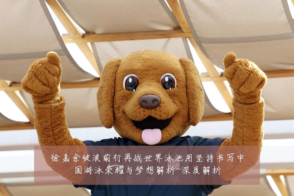 徐嘉余破浪前行再战世界泳池用坚持书写中国游泳荣耀与梦想解析-深度解析