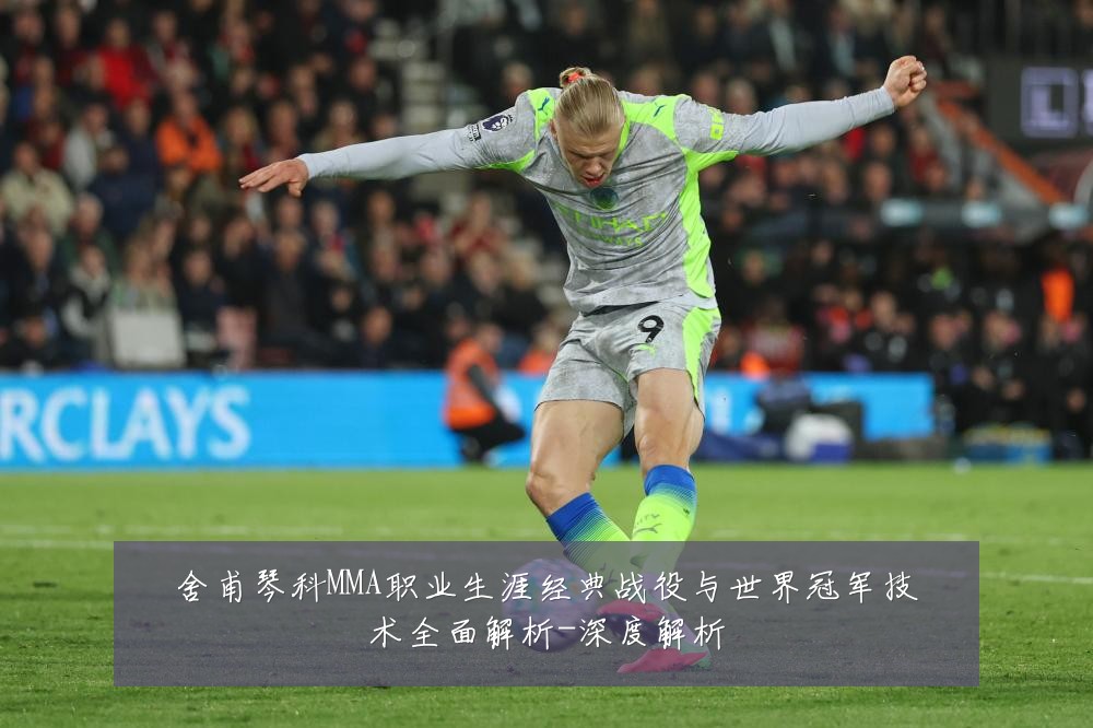 舍甫琴科MMA职业生涯经典战役与世界冠军技术全面解析-深度解析