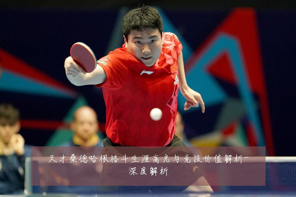 天才桑德哈根格斗生涯高光与竞技价值解析-深度解析