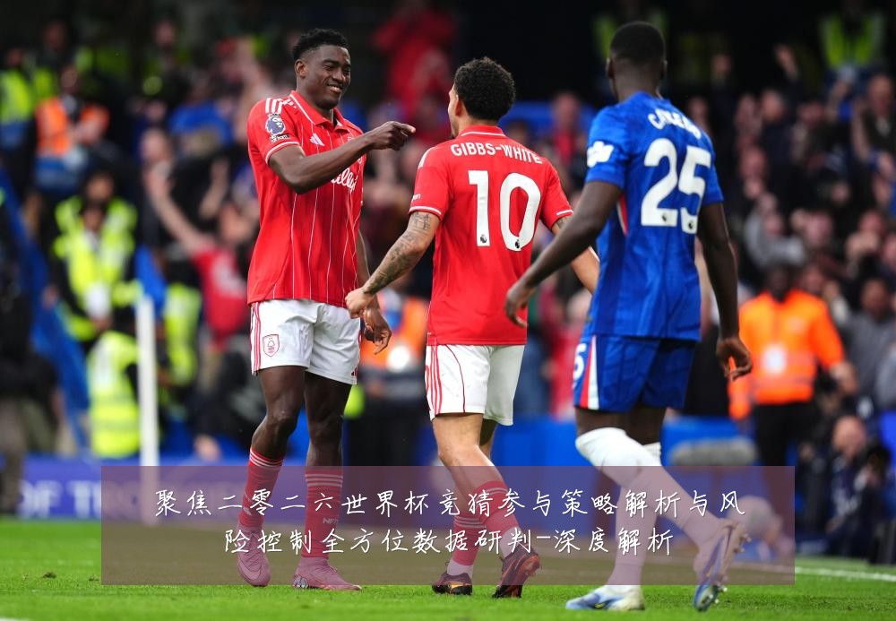 聚焦二零二六世界杯竞猜参与策略解析与风险控制全方位数据研判-深度解析